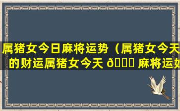 属猪女今日麻将运势（属猪女今天的财运属猪女今天 🐞 麻将运如何2020）